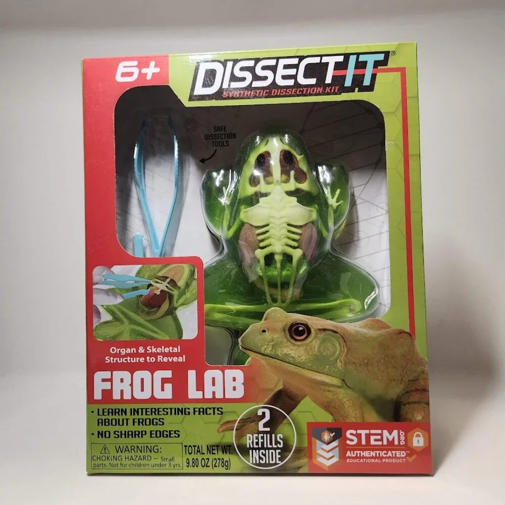NEW Dissect-it Synthetic Lab Dissection Toy STEM KIT CRAFT Project Frog Biology